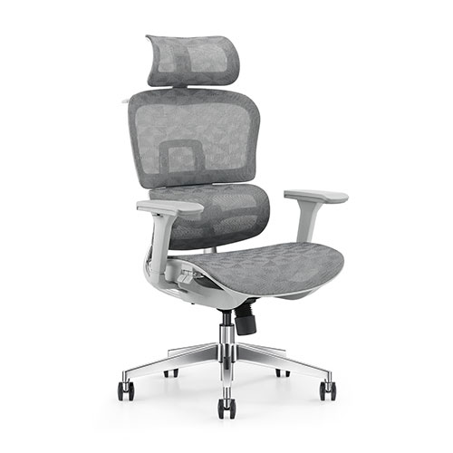 Lucky ergonomic chair